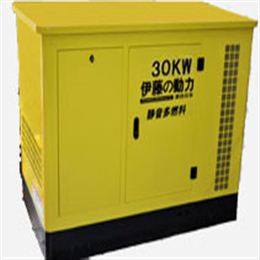 30KW汽油发电机