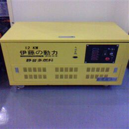 12KW汽油发电机多燃料发电机